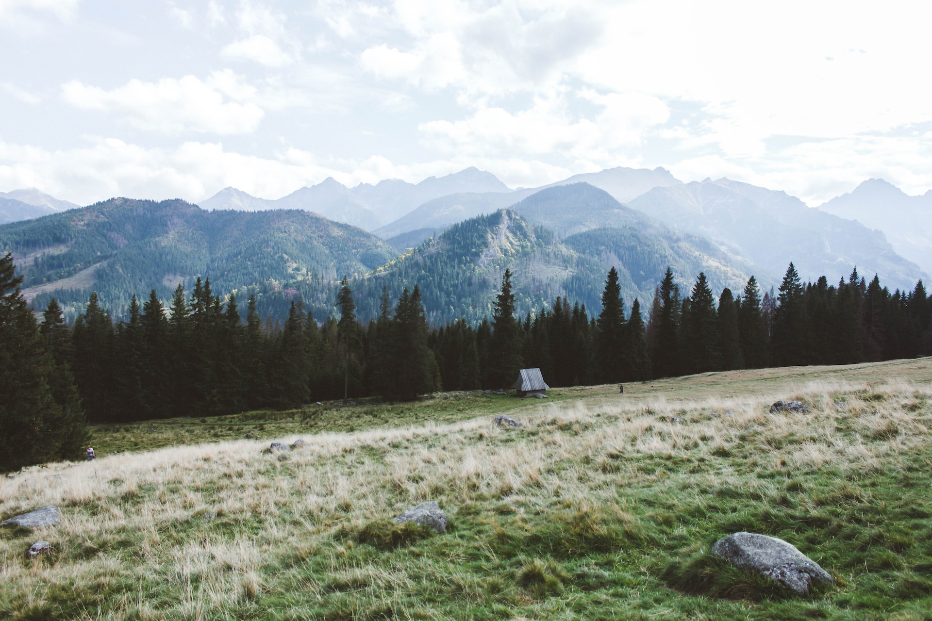 tatry