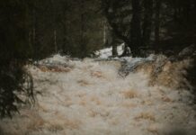 norwegia powódź