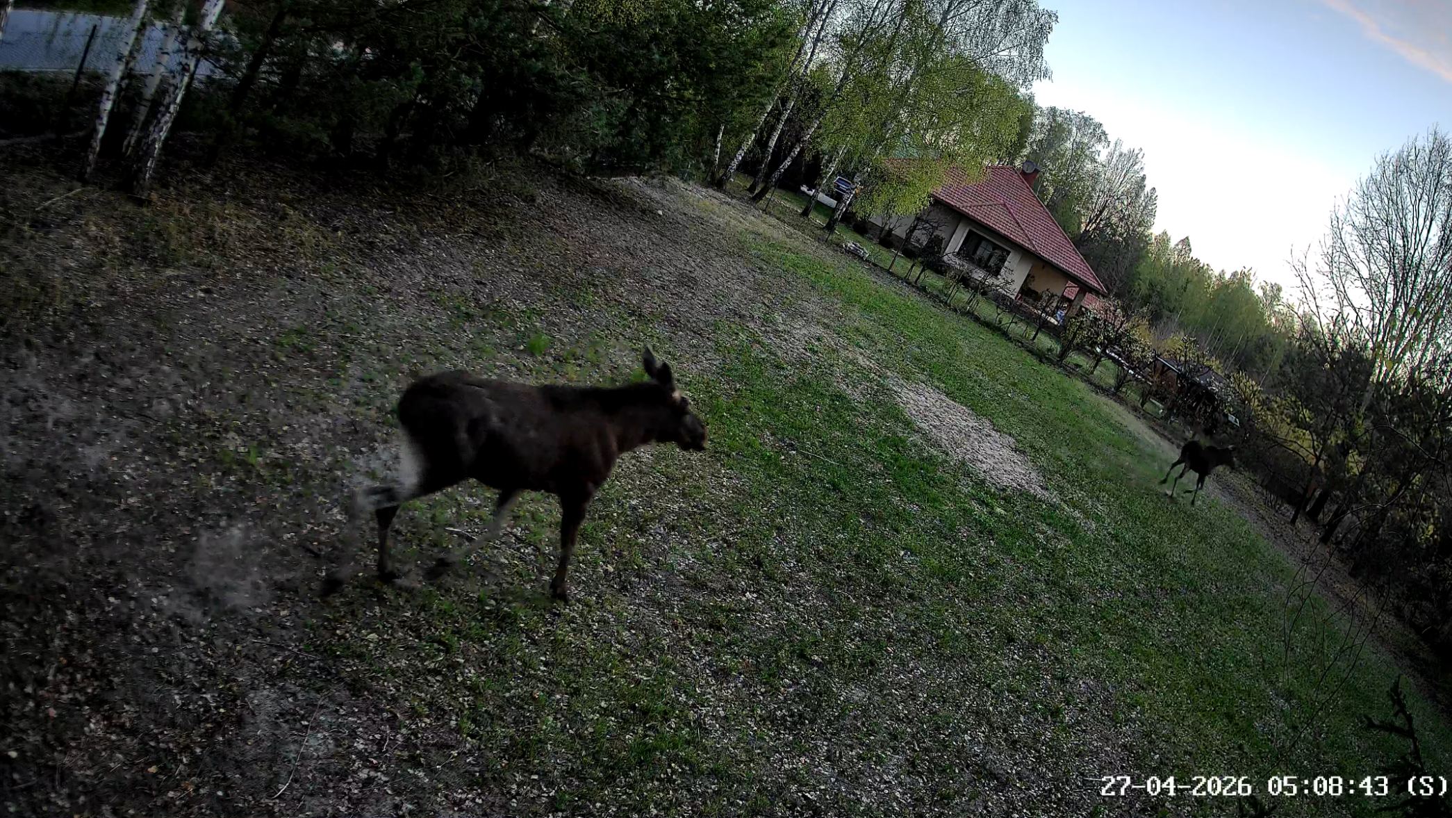 EZVIZ EB8 PRO 4G WIFI