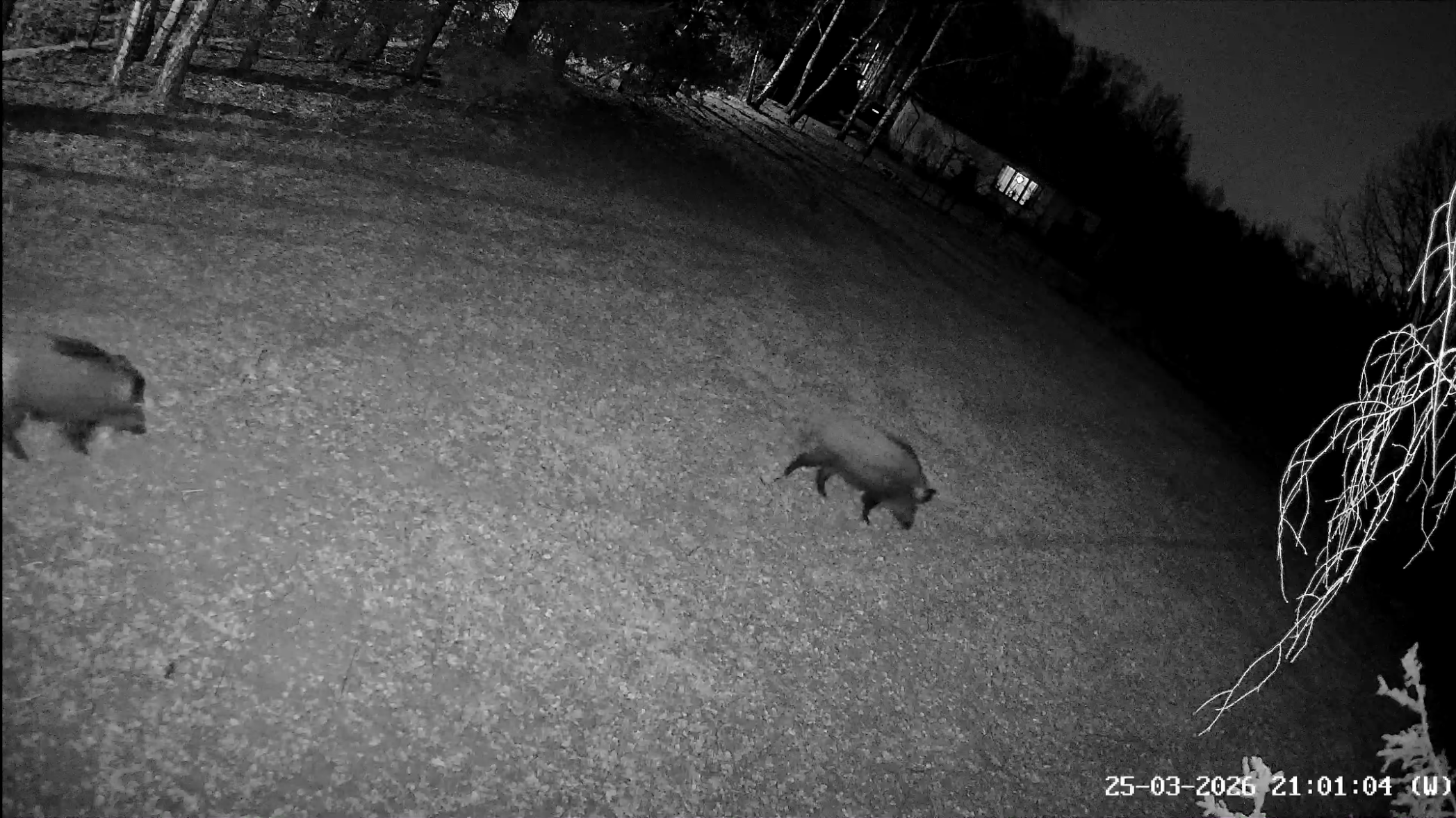 EZVIZ EB8 PRO 4G WIFI