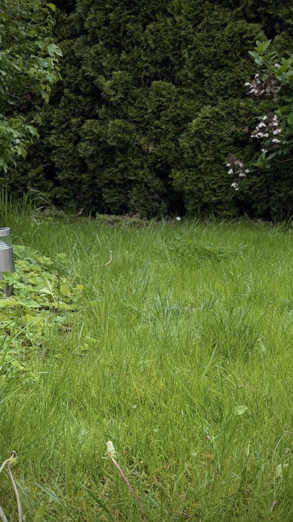 Robot koszący kosiarka automatyczna MOVA LiDAX Ultra 1600
